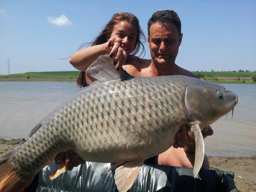 crapi de sarulesti - 1452249661076677286648153446967n.jpg